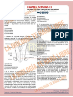 Calapenshko-342 Solucionario Examen