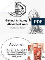 General Anatomy 6 Abdominal Walls: Dr. Wesam Bader