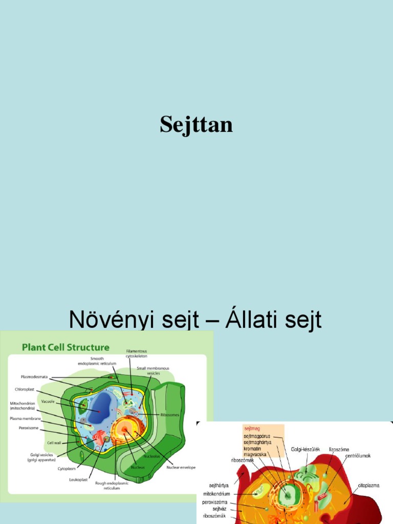 A Novenyi Sejt | PDF