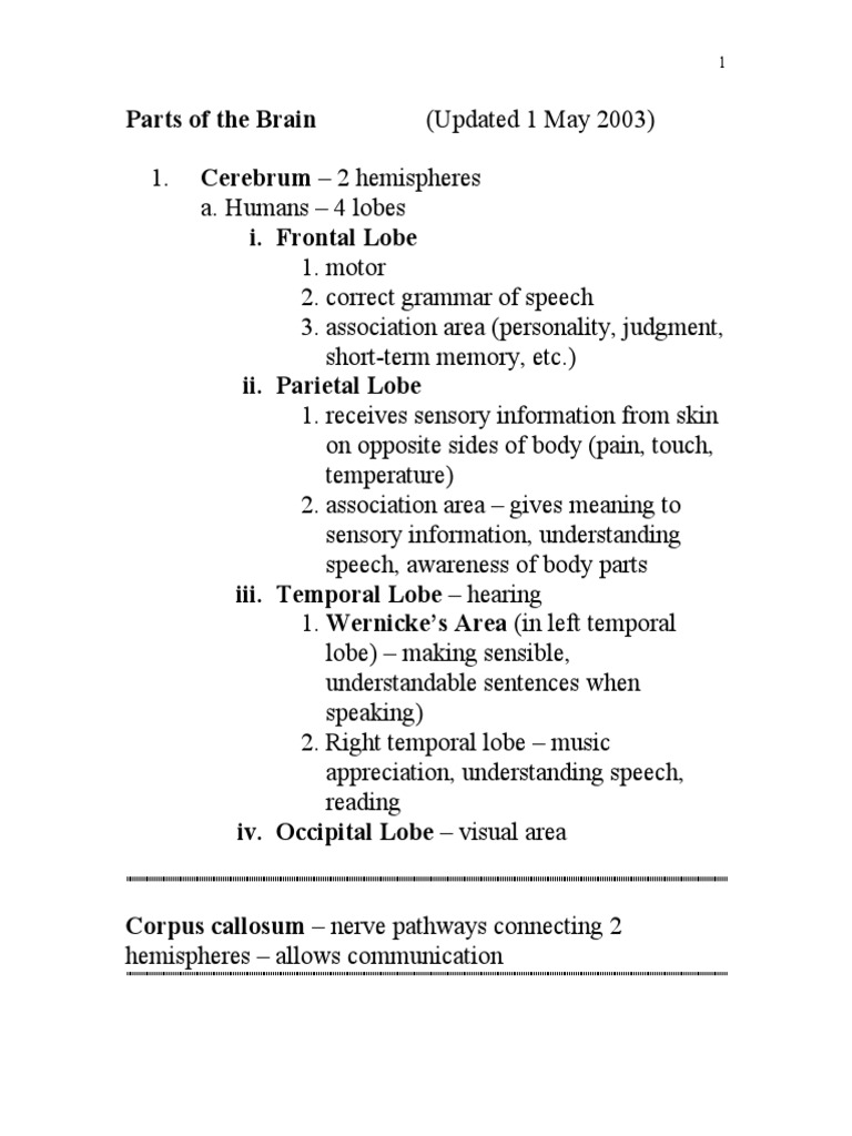 Overview of Brain Anatomy and Functions | PDF | Cerebrospinal Fluid ...