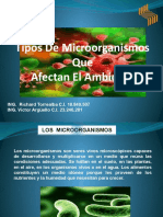 Tipos de Microorganismos