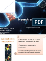 Clase Neurotransmisión 2019