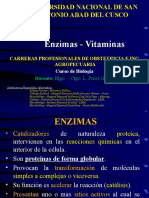 ENZIMAS - vitaminas (2)