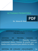 10-3PPT - PRUEBA INDICIARIA - ACTIVIDAD PROBATORIA-DR. PEÑA..ppt Verison Final