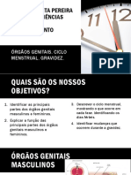 06 Órgãos Genitais. Ciclo Mentrual. Gravidez.