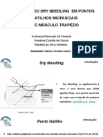 Slide Dry Needling Novo