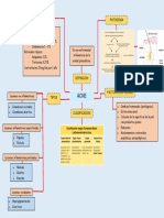 Acne Mapa