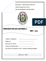 Libro_Gas_I_2018_PET–234