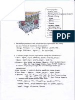 Ukbm Jaringan - 0004