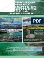  INFOGRAFIA  MEDIO AMBIENTE EN EL CONTEXTO DE LA PANDEMIA