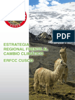 Estrategia Regional