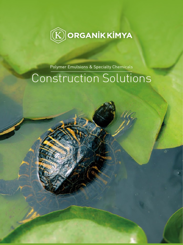 Construction Solutions Polymer Emulsions & Specialty Chemicals PDF