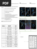 COnstellation Quiz