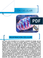 RESPIRACION CELULAR Biomédica 2019