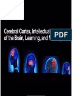 PHY (SEM3) CHP 2 - General View of Cerebrum