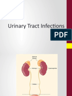 Urinary Tract Infections Diagnosis and Treatment