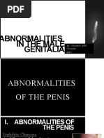 Gimnastikachilarning bolinishlarni amalga oshirayotgan yaqin suratlari