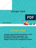 Jaringan Saraf Otak