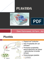 (6) Plastida