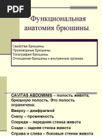 Брюшина