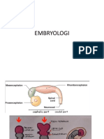 Embryo Log i