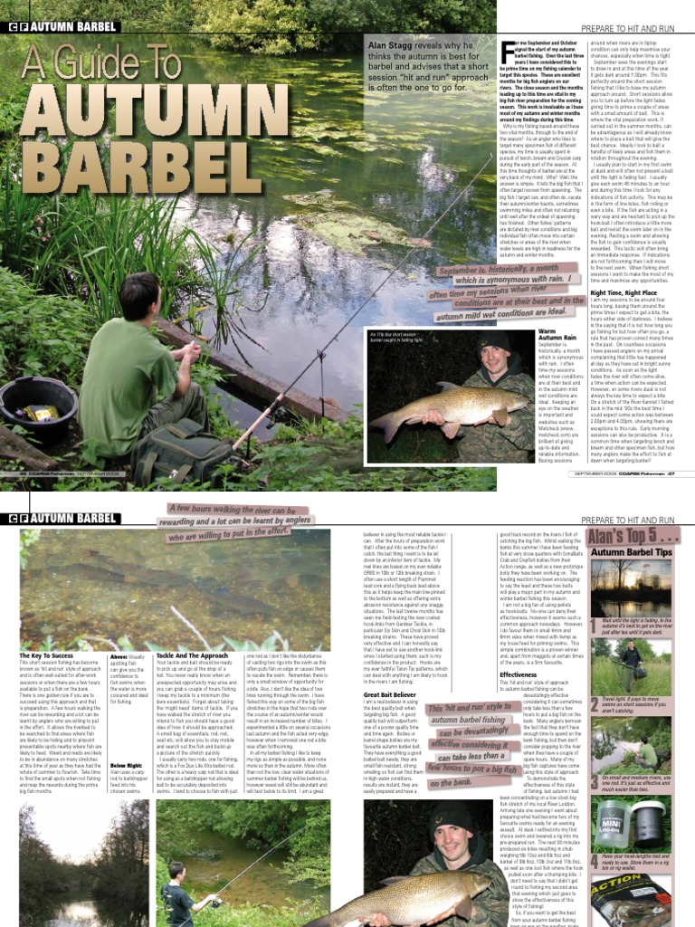 Short and Targeted: A Guide to Effective Autumn Barbel Fishing