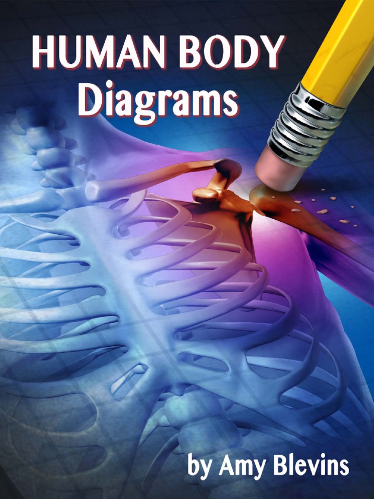 Human Anatomy Diagrams | PDF | Human Body | Anatomy