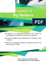 Economics of Big Business