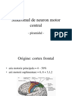 1. Sd Neuron Motor Central