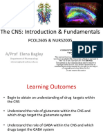 The CNS: Introduction & Fundamentals: PCOL2605 & NURS2005