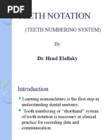 Teeth Numeration System