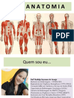 Anatomia dos sistemas e suas estruturas