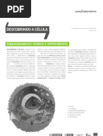 protocolo-alunoscelula