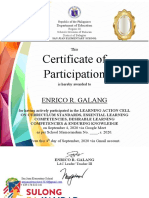 Certificate of Participation: Enrico R. Galang