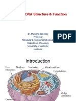 202003271457480855monisha Basics of DNA