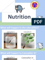 Nutrition