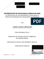 LIZARDI-MENDOZA-J98-desbloqueado (MODELO 3-ESPECTROS IR)