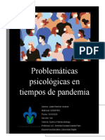 Problemas Psicologicos en La Pandemia