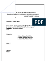 PDF Arterias Venas y Linfaticos Del Miembro Inferior Aplicacion Clinica