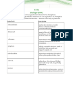 Reinforcement Worksheet On Cell Organelles