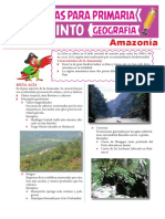 Geomorfología de La Amazonía para Quinto Grado de Primaria
