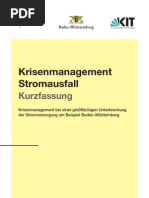Download Krisenhandbuch_Stromausfall_Kurzfassung_pdf by Carlos C Castro SN52239745 doc pdf