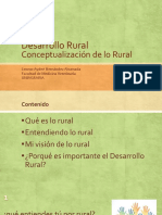 Conceptualización de Lo Rural