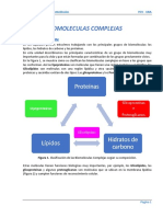 Serie 11. Biomoleculas Complejas Rev