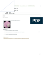 EXAMEN TERCER PARCIAL - Revisión Del Intento