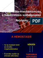 Hemosztazis Szabalyozas 2