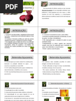 Aula 5-Matérias-Primas Sacarinas [Modo de Compatibilidade]