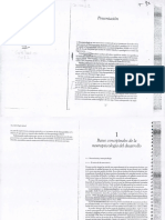 Portellano, J (2007). Presentación. Cap 1 Bases Conceptuales de La Neuropsicología Del Desarrollo. en Neuropsicología Infantil (p. 13-28). España Síntesis