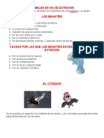 Proyecto Aula - (Manaties-Condor-Jaguar-Oso Anteojo)