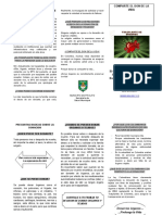 FOLLETO RDT Revisado